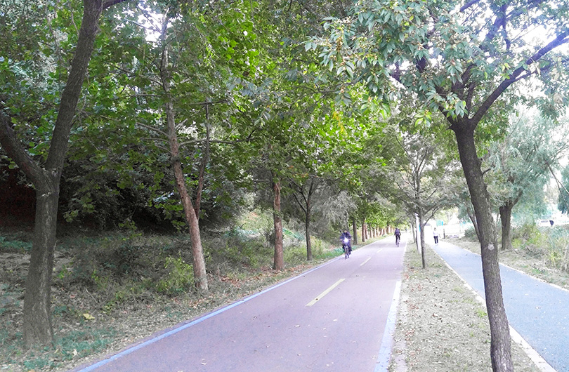 Easy Bike Rides on the Han River in Seoul | FleurDeLibre.com