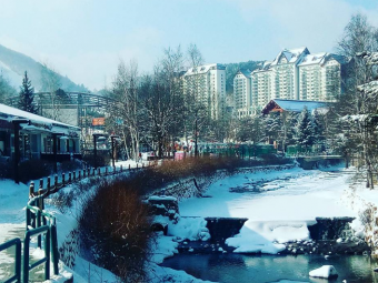 5 Ways To Enjoy Life During This Bitter Korean Winter | FleurDeLibre.com