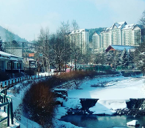 5 Ways To Enjoy Life During This Bitter Korean Winter | FleurDeLibre.com